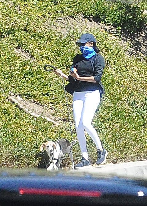 MeghanMarkle-show continues: Sussex on a dog walk