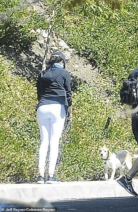 MeghanMarkle-show continues: Sussex on a dog walk